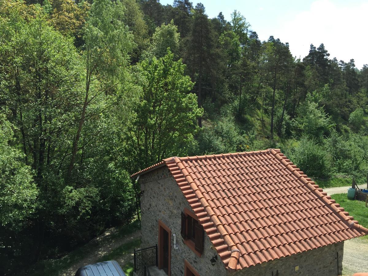 Giusvalla Forest Village Dego Exterior photo