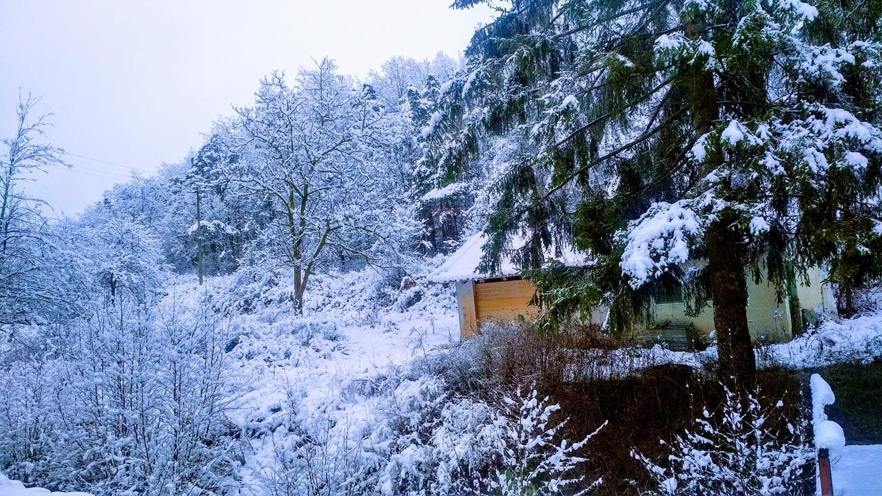Giusvalla Forest Village Dego Exterior photo
